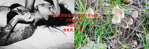 шишки Всеволожск
