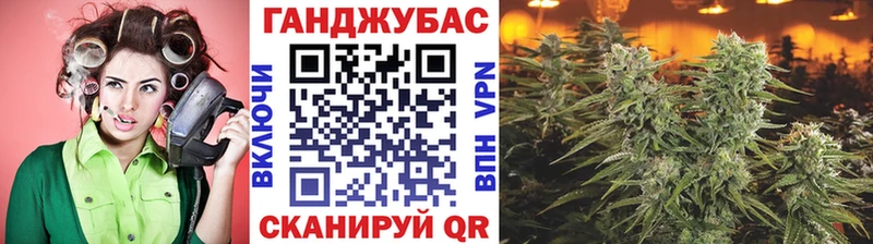Шишки марихуана VHQ Петров Вал